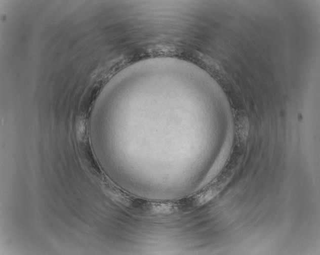 X0000060740709200512081918