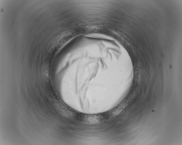 X0000060740710200512081918