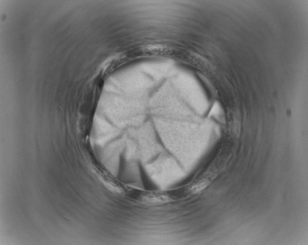 X0000060740712200512081918