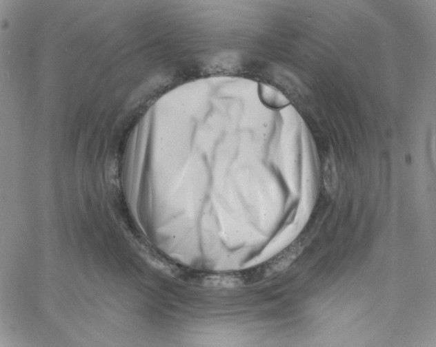 X0000060740714200512081918