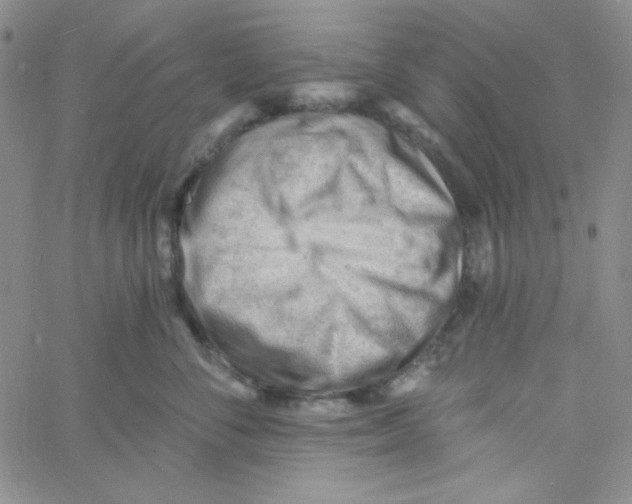 X0000060740716200512081918