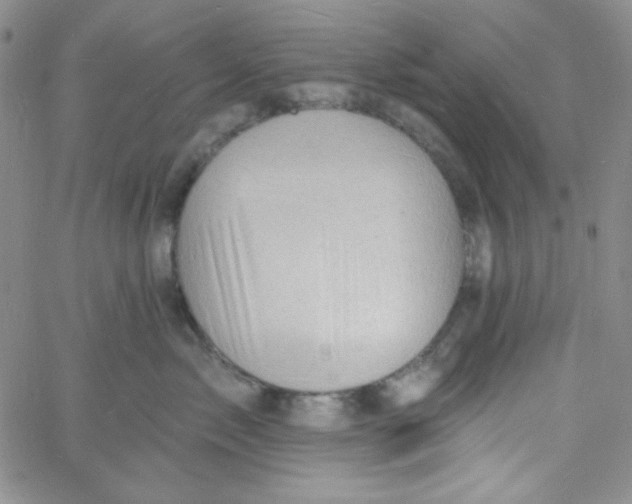 X0000060740717200512081918