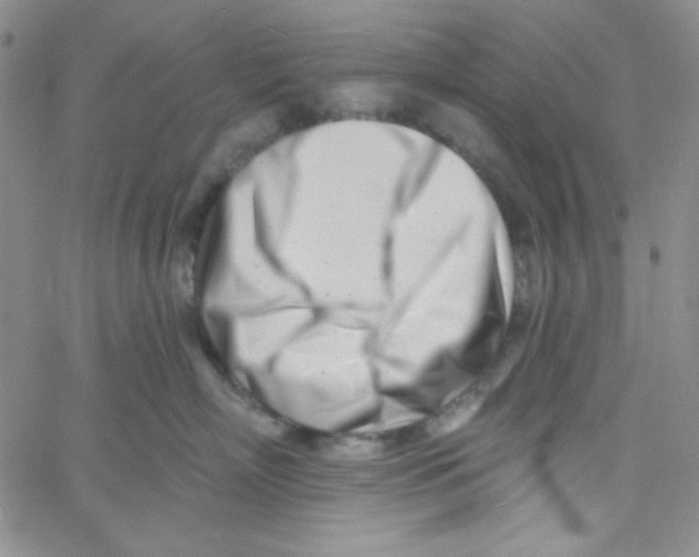 X0000060740718200512081918