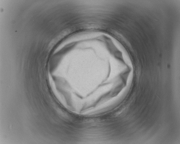 X0000060740721200512081917