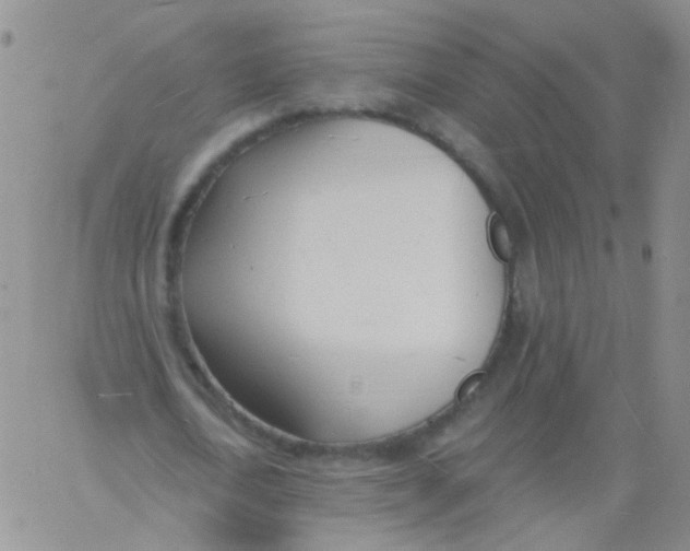 X0000060740722200512081917