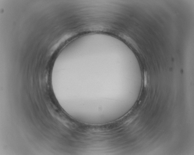 X0000060740723200512081917