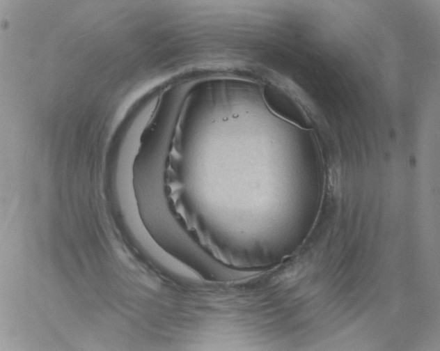 X0000060740724200512081917