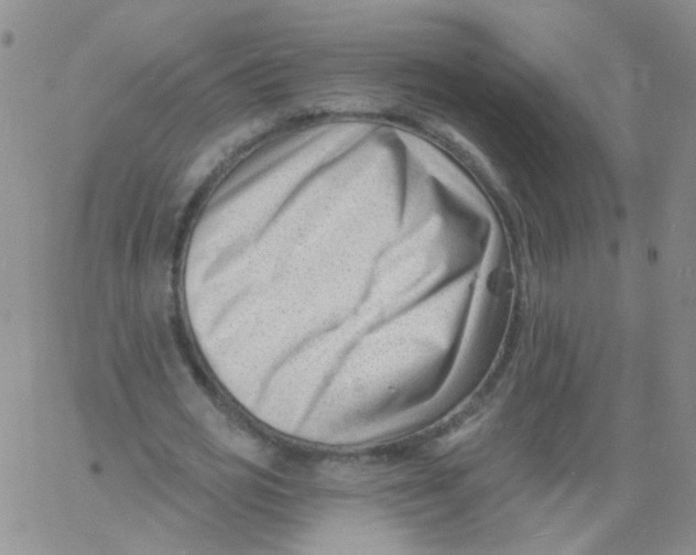 X0000060740725200512081917