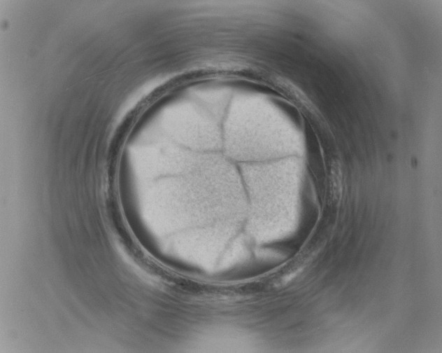 X0000060740726200512081917