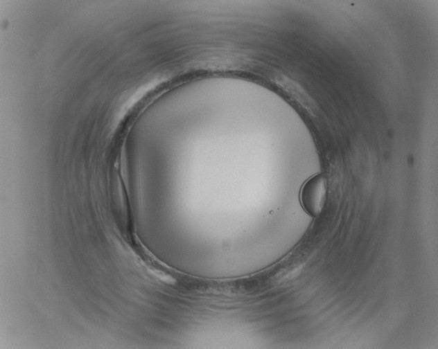 X0000060740727200512081917