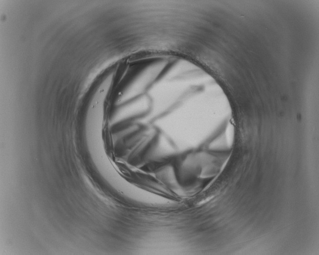 X0000060740728200512081917