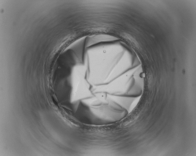 X0000060740729200512081917