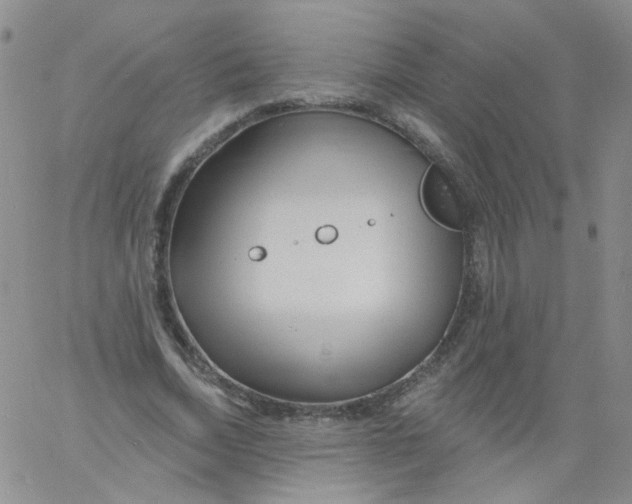 X0000060740730200512081917