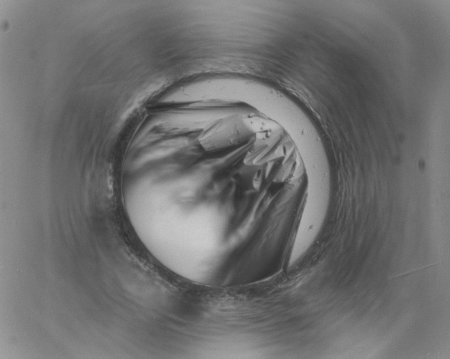 X0000060740731200512081917