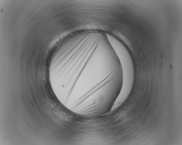 X0000060740732200512081917