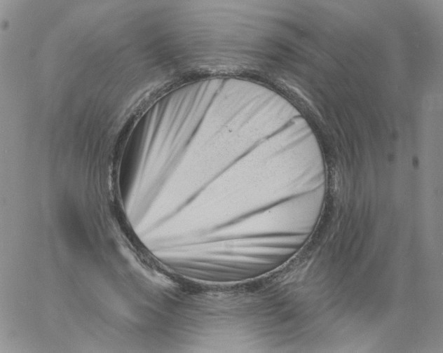 X0000060740733200512081917