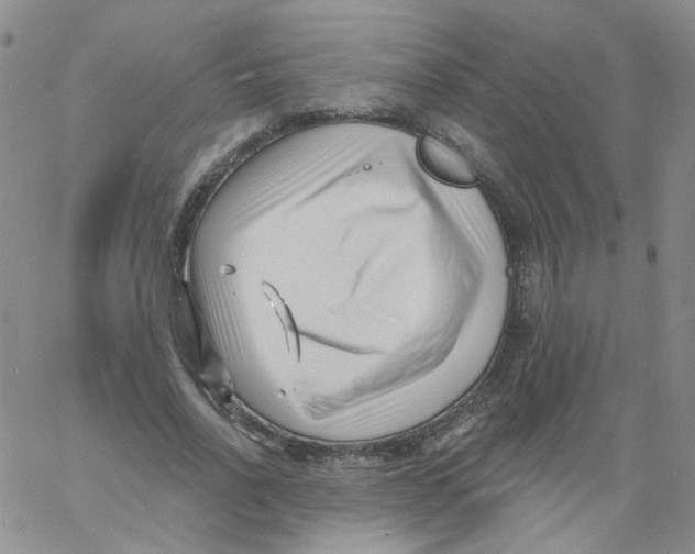 X0000060740734200512081917