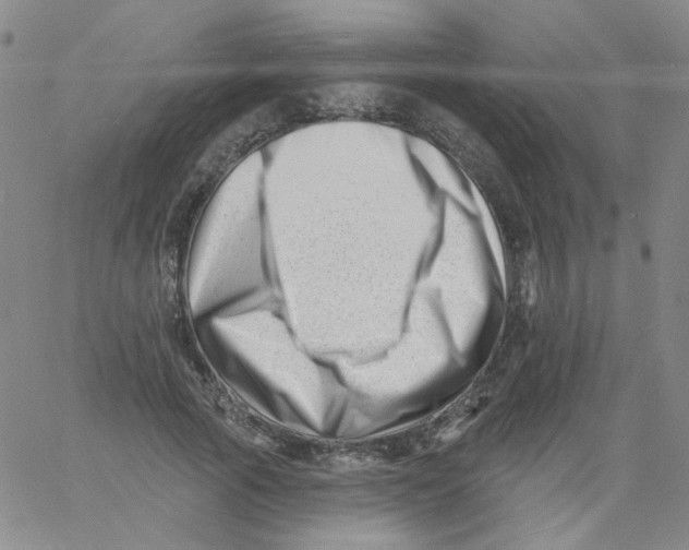 X0000060740737200512081917