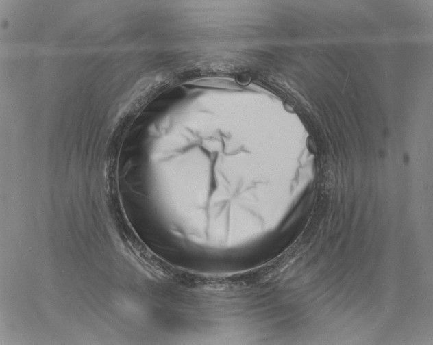 X0000060740738200512081917