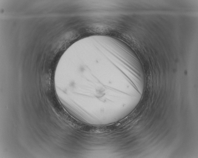 X0000060740739200512081917