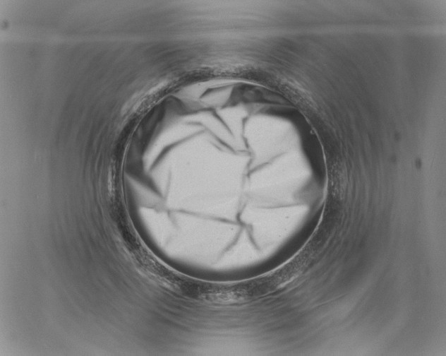 X0000060740740200512081917