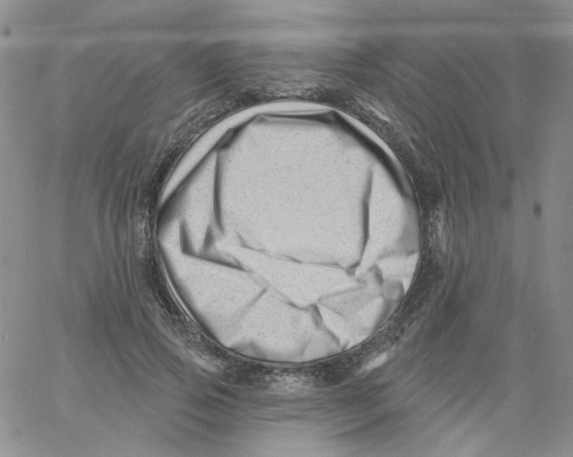 X0000060740741200512081917