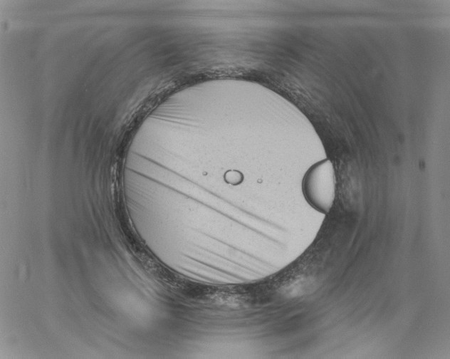 X0000060740742200512081917