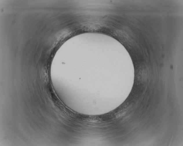 X0000060740743200512081917