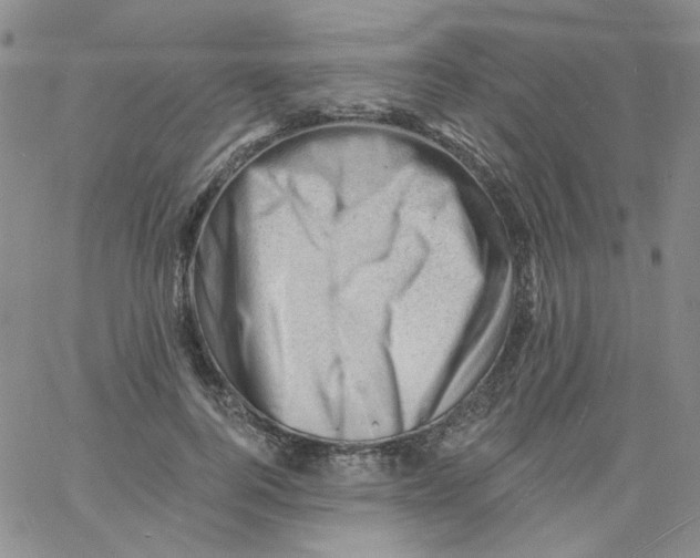 X0000060740744200512081917