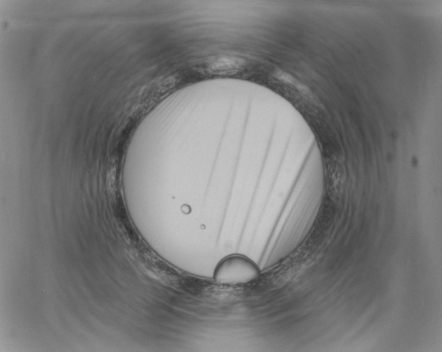 X0000060740745200512081917