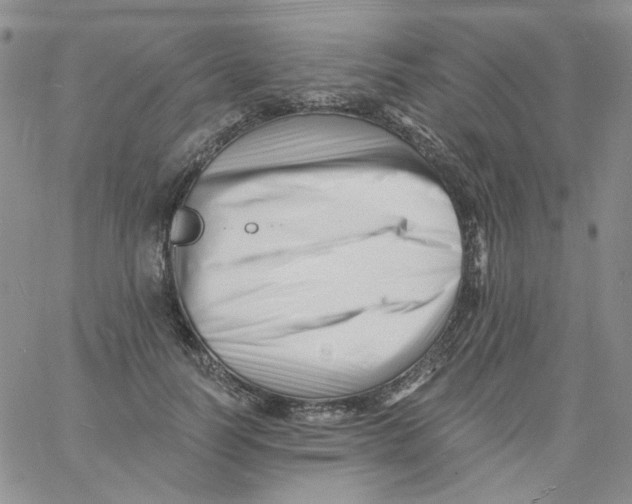 X0000060740746200512081917