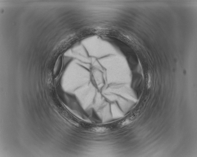 X0000060740748200512081917