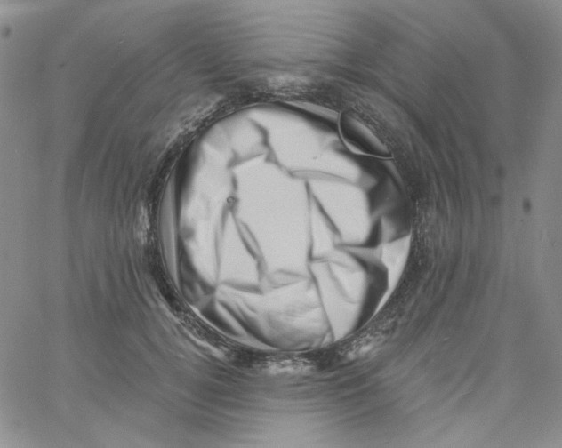 X0000060740752200512081917