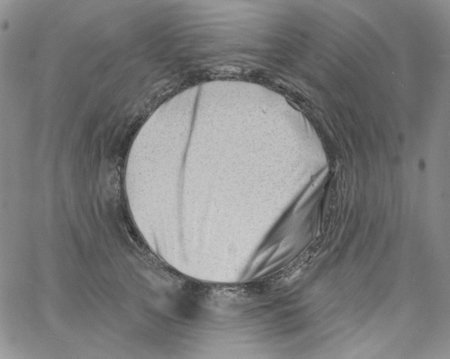 X0000060740753200512081917