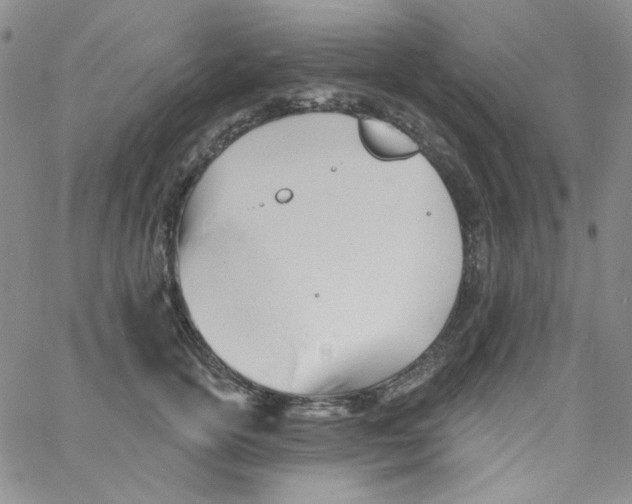 X0000060740754200512081917