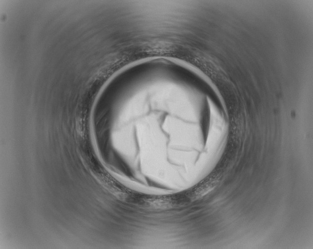 X0000060740755200512081917