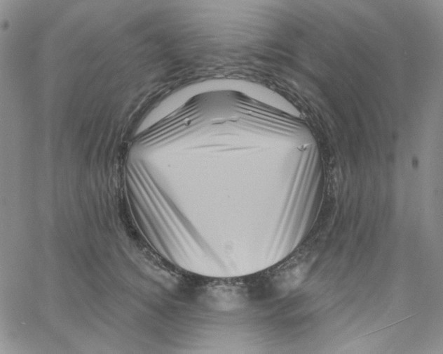 X0000060740756200512081917