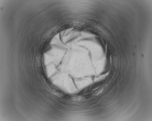 X0000060740757200512081917