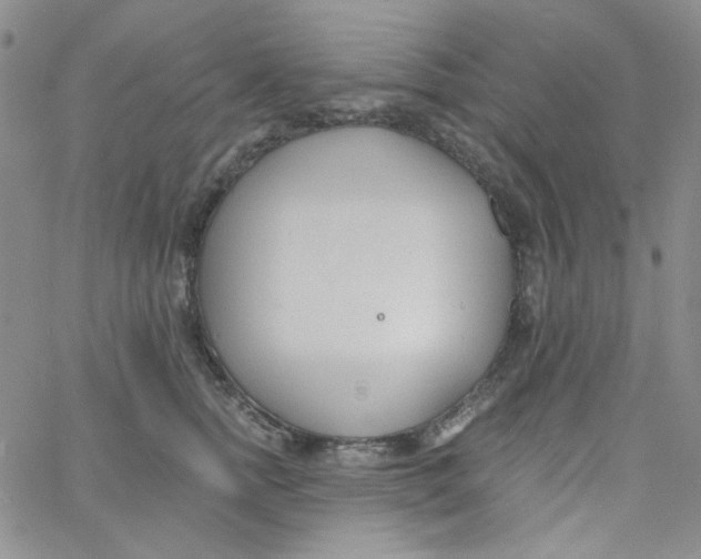 X0000060740758200512081917