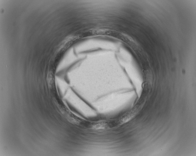 X0000060740761200512081917