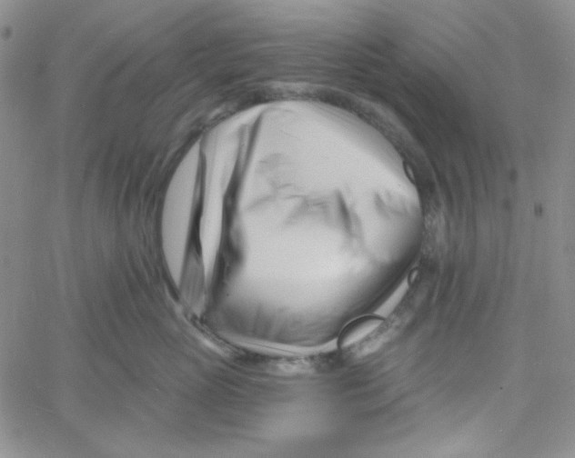 X0000060740765200512081917