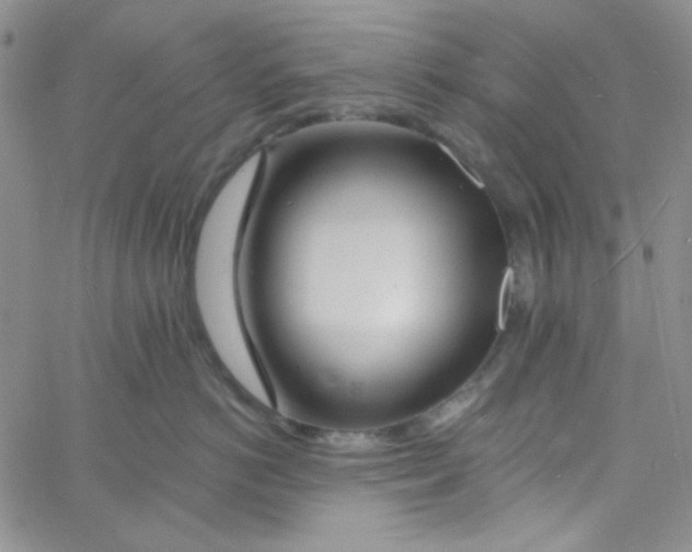 X0000060740766200512081917