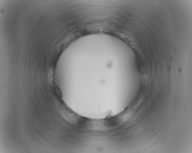 X0000060740767200512081917