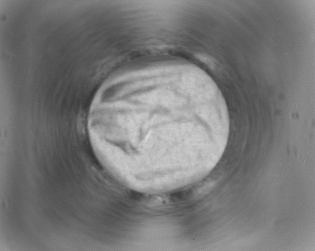 X0000060740768200512081918