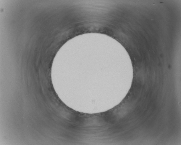 X0000060740769200512081917