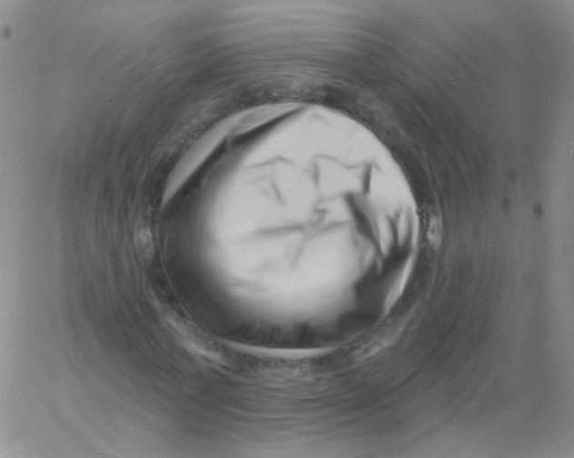 X0000060740771200512081917