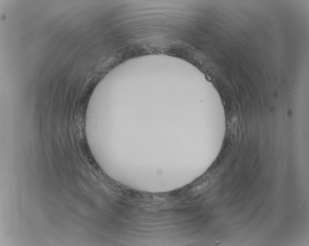 X0000060740772200512081917