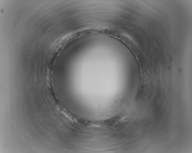 X0000060740773200512081917