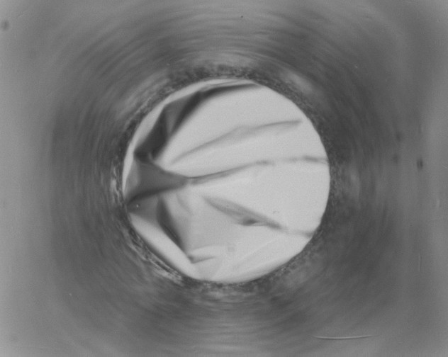 X0000060740774200512081917