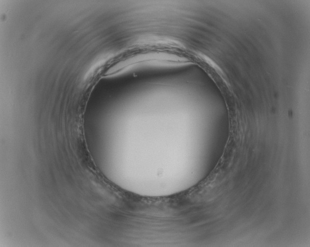 X0000060740775200512081917